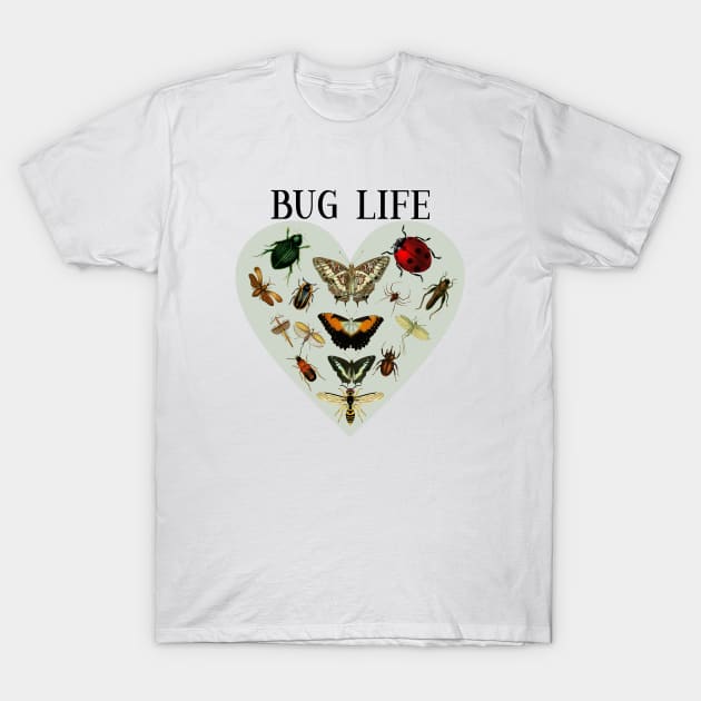 Entomology / Bug Lover /Entomologists / Bug Life T-Shirt by allthumbs